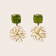 Alga Olive