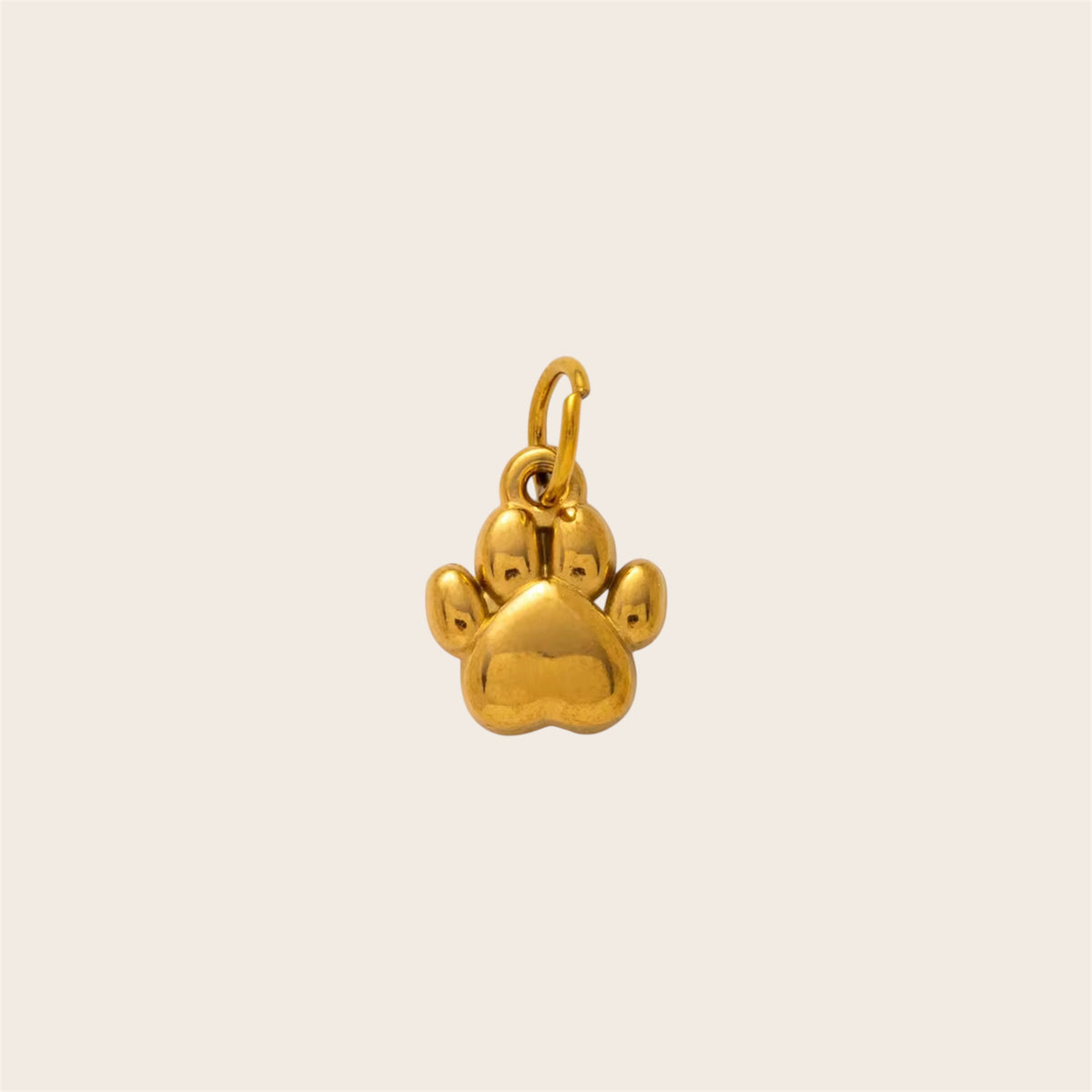 Charm Huellita