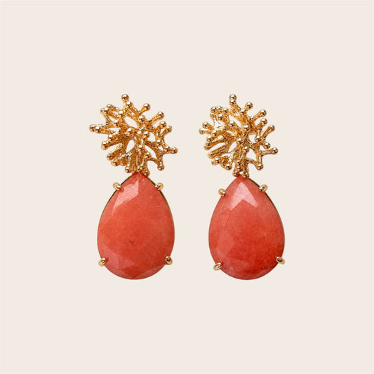 Alga Coral Blush