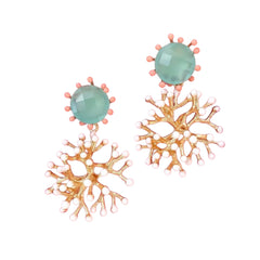 Alga Agua Coral