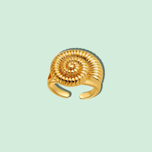 ANILLO CARACOLA 🐚