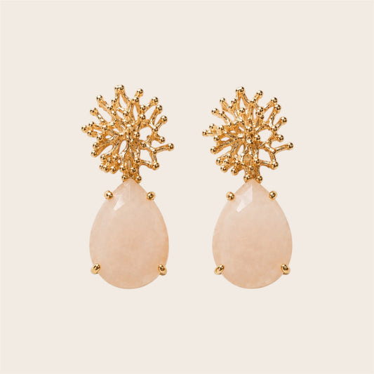 Alga Nude