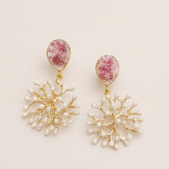 Alga Drunna