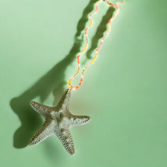 COLLAR ESTRELLA DE SAL