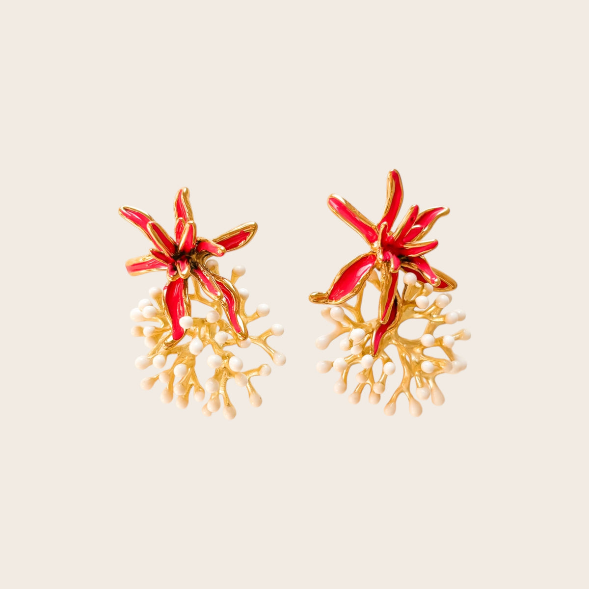 Alga Coralina