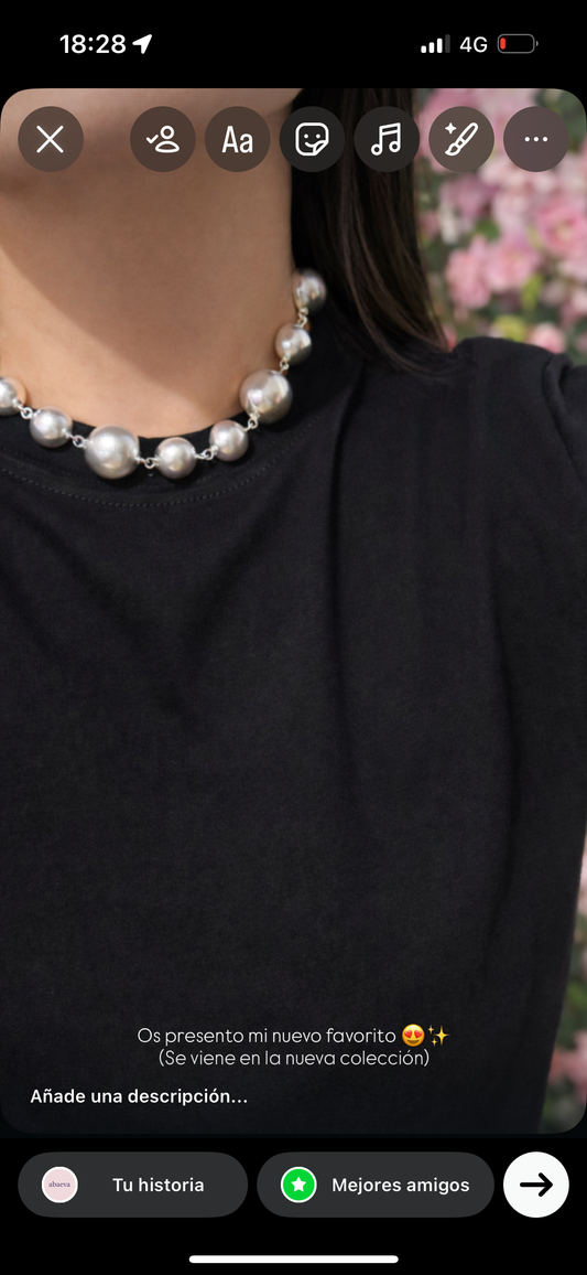 Collar Iconic