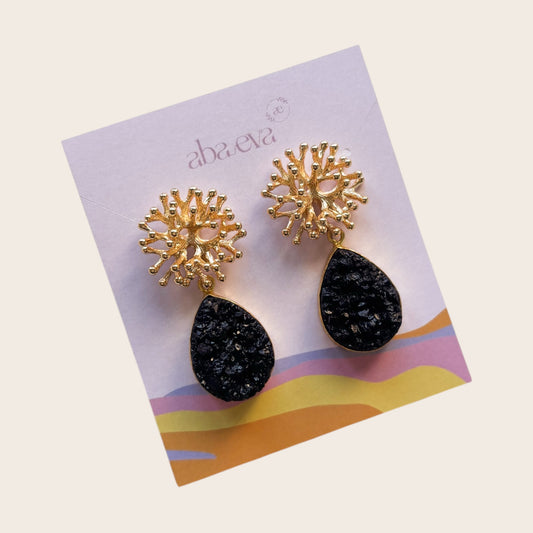 Alga Druzy Negro