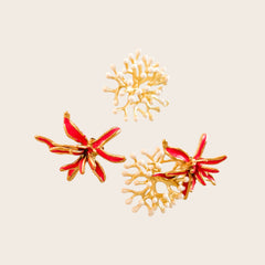 Alga Coralina