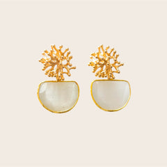 Alga Cristal