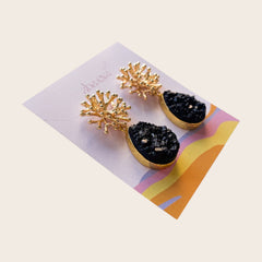 Alga Druzy Negro